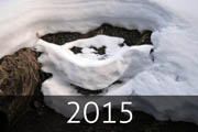 2015.jpg